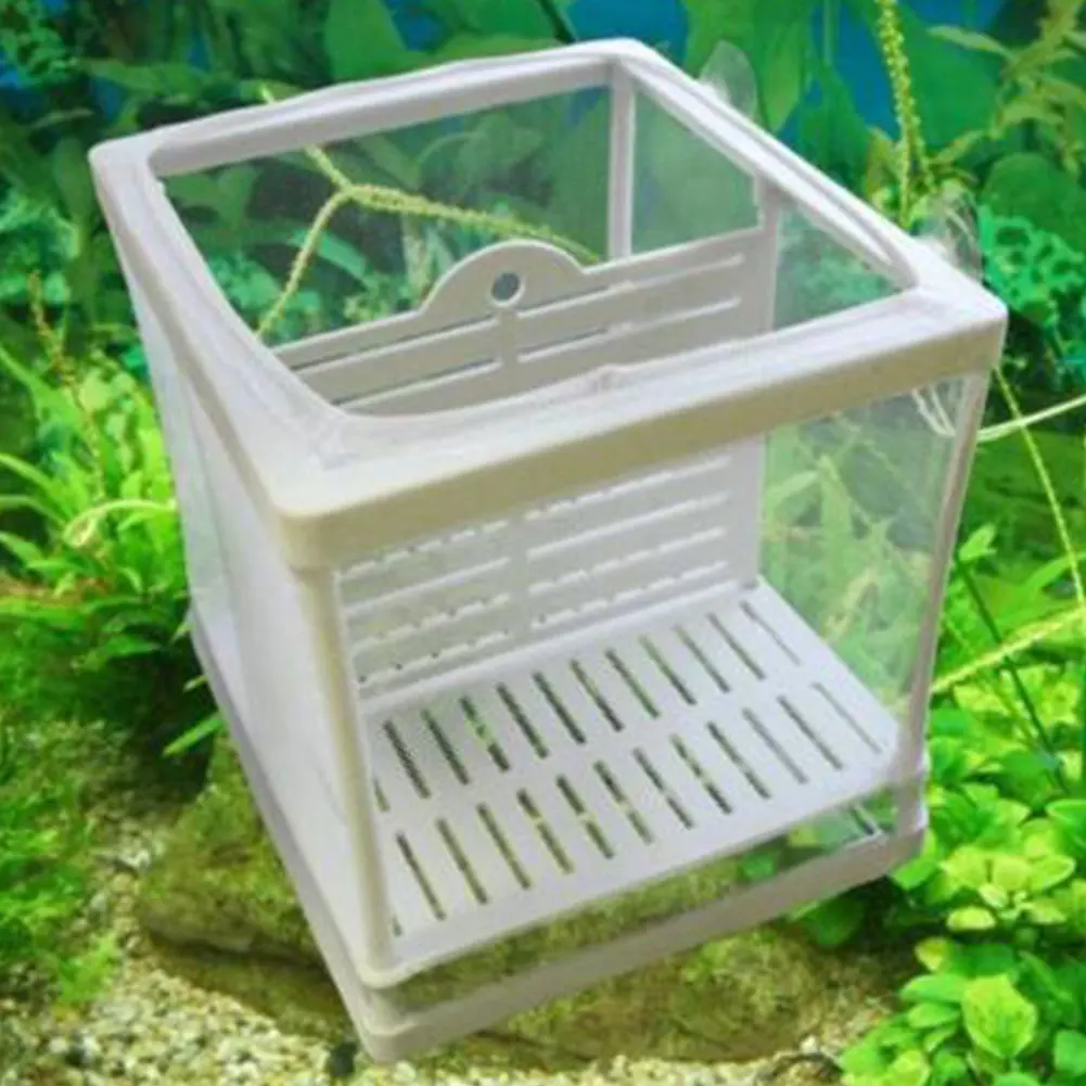Инкубатор для разведения рыбы, сетчатая сетка, подвесная изолирующая коробка для аквариума