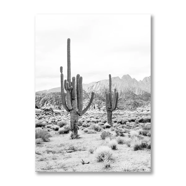 Arizona Black and White Photography Canvas Art Print ARTCANVAS Cactus Saguaro National Monument