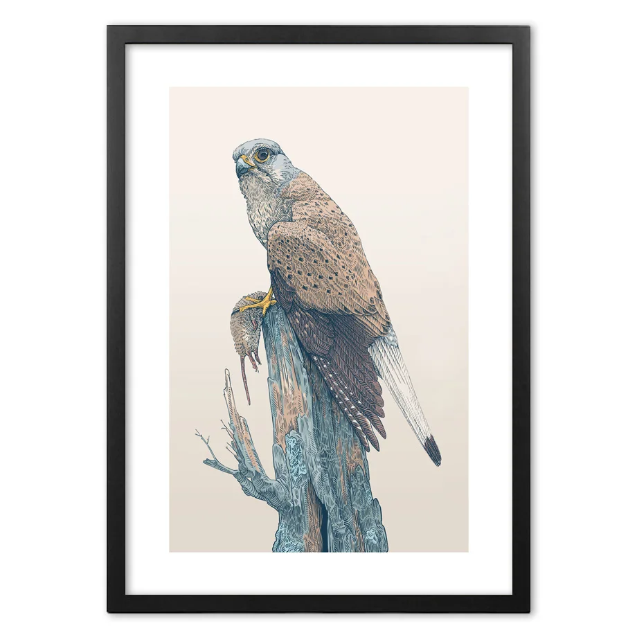 Nordic Ink Art Eagle Animals Raptor Wall Print Paper Painting Poster And Prints Pictures For Living Room Decor | Дом и сад