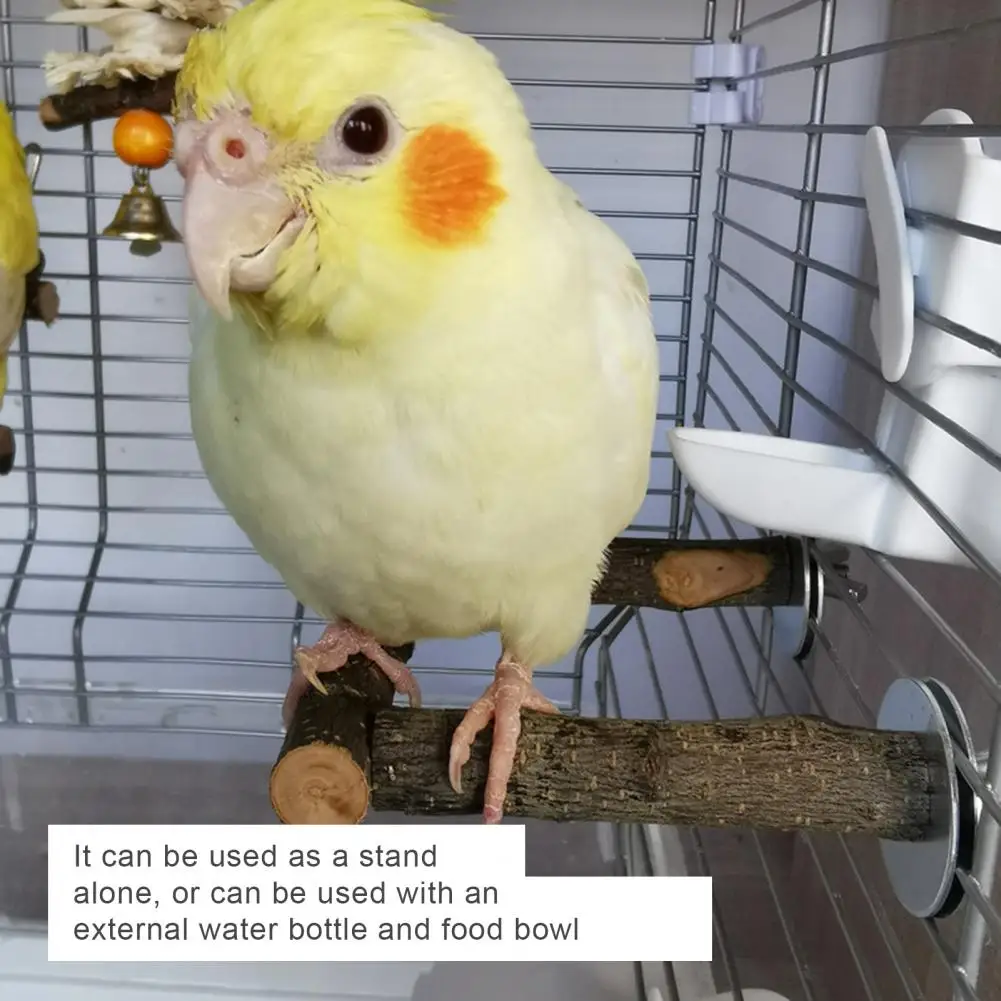 Eco-friendly Parrot Perches Cage Accessories Bird Perch Sticks Stable Structure Natural Wood Parrot Climbing Perches Stands