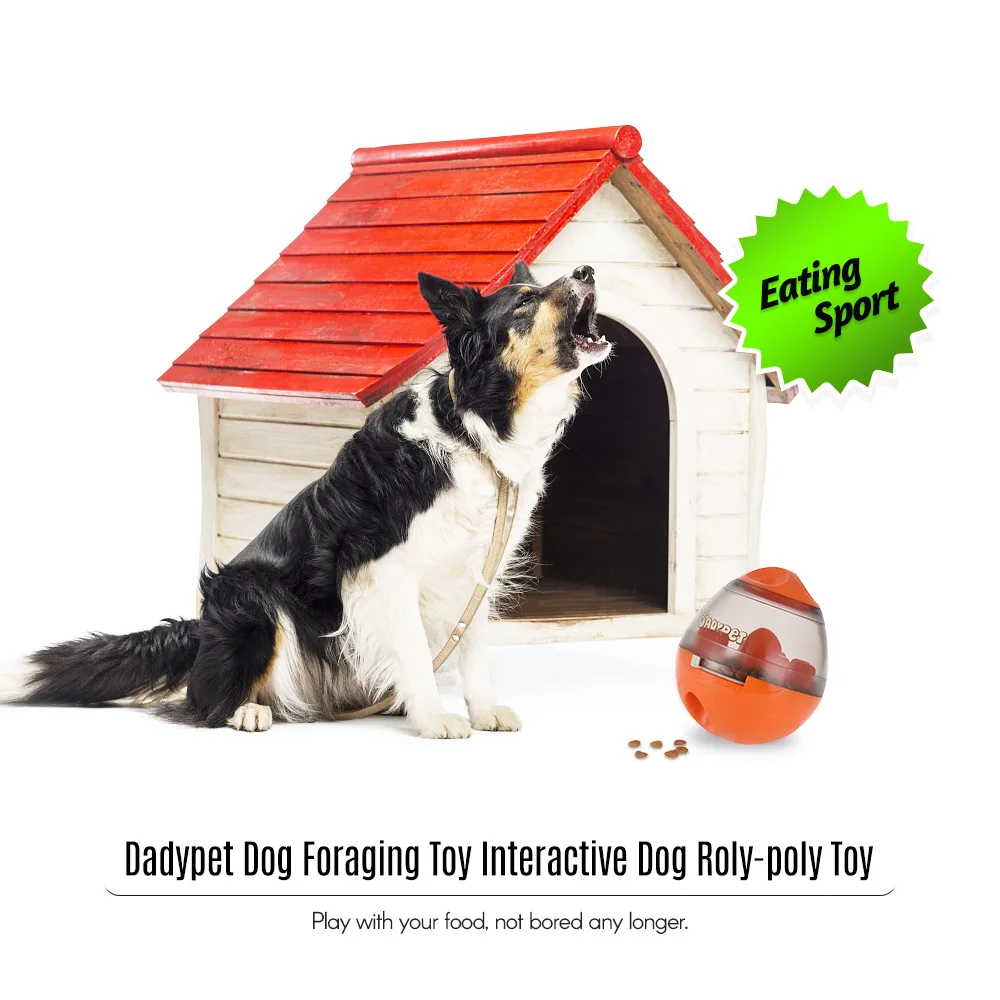 Dadypet интерактивная игрушка для кошек IQ мяч для игры умнее игрушки для домашних животных пищевой шар диспенсер для кошек игровое обучение шары товары для домашних животных