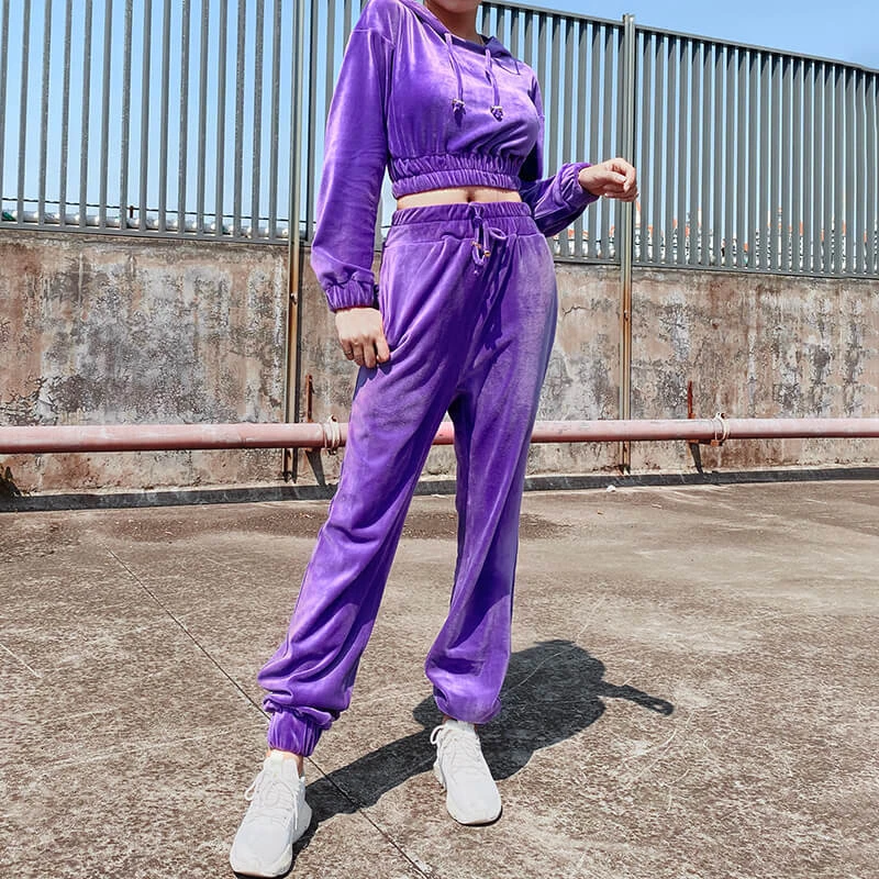 Sweatsuit Tracksuit Solid Velvet Hooded Women Two Piece Set Crop Top and Harem Pants Casual Jogger Autumn Sexy Sportswear TZ04 |