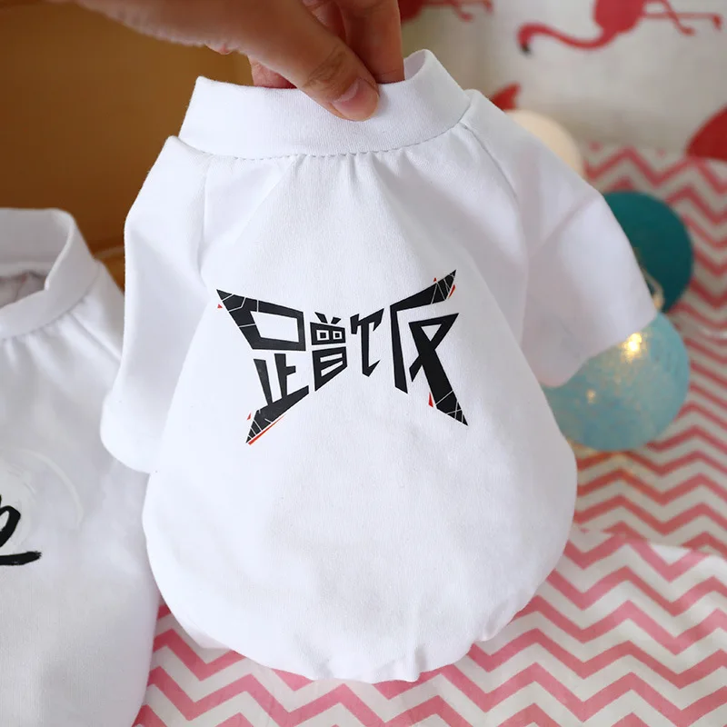 10813047742_1853267267