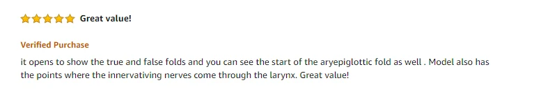 12505 Larynx star