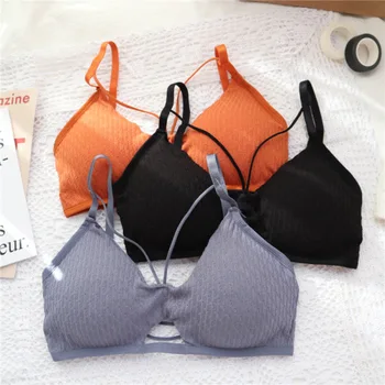 

Comfortable New Fashion Padded Underwear Comfort Sexy Lingerie Beauty Back Bralette Push Up Bra Seamless Wireless Bras for Women