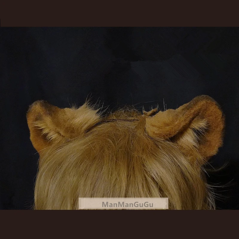 Lion tail and ears costume