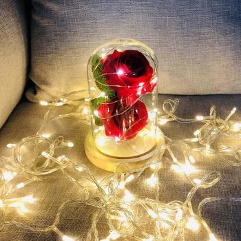 

LED Light Wedding Gift 2 Heads Artificial Rose Flower With String In Glass Dome On Wooden Base For Wedding Home