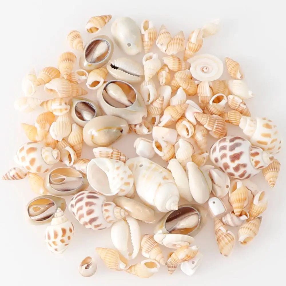 

50g Mix 5-60mm Natural Shell Embellishments Cone Conch DIY Crafts Supplies Shell Conch Starfish Landscape Aquarium Decorative