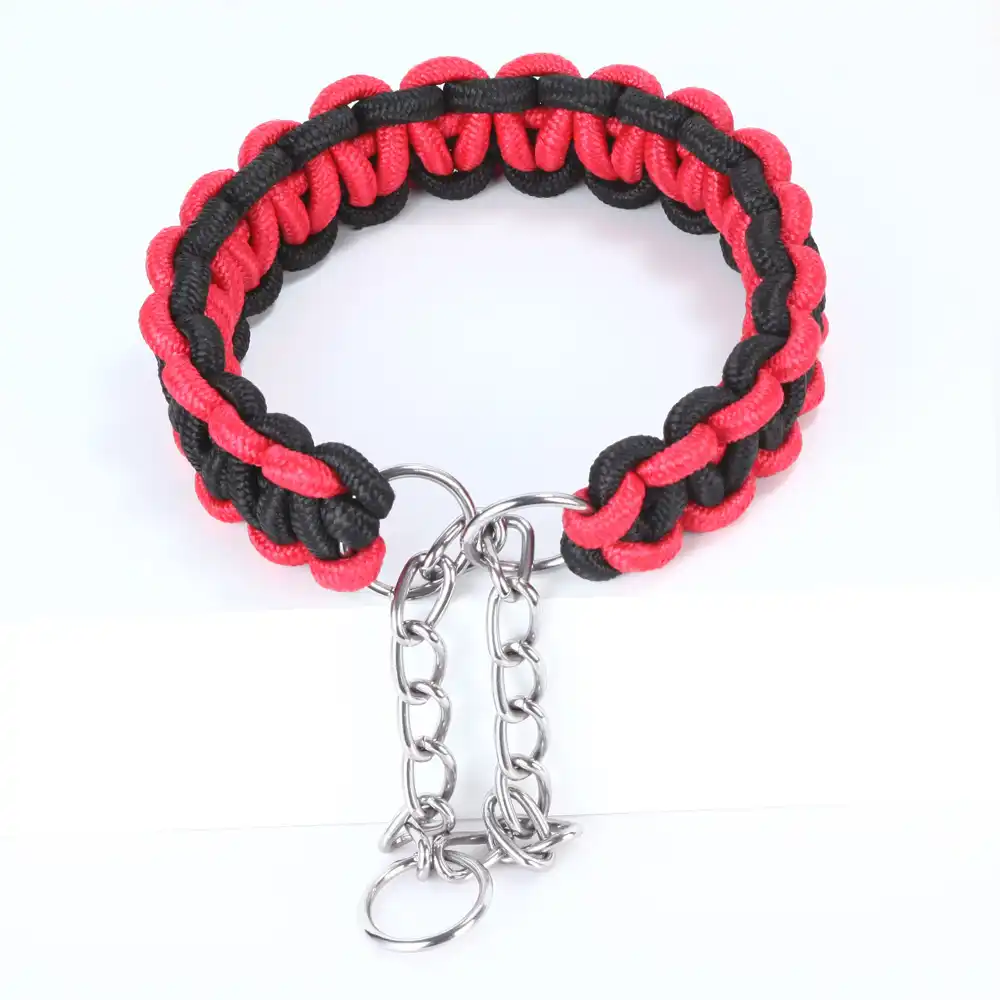 large bead dog collar