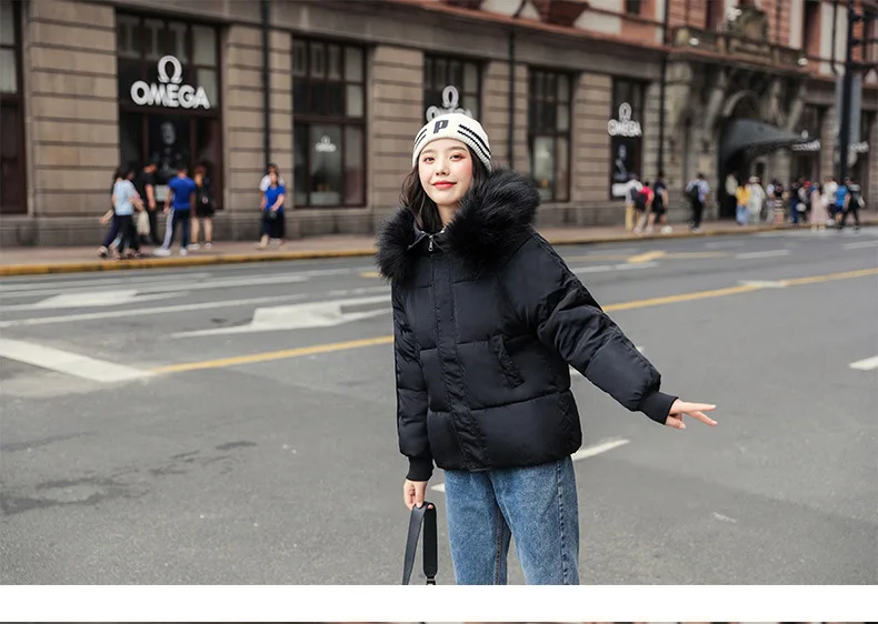 5 Colors Ladies Faux Fur Hooded Short Puffer Jacket New Fashion Parka Casual Loose Winter Jacket Women Warm Bubble Coat