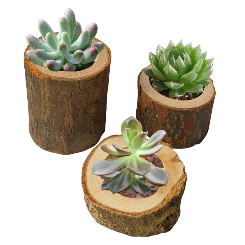 

Mini Flower Pot Hollow Wooden Stake Round Plant Pots Tray Garden Home Office Desktop Succulents Planter Decoration Crafts