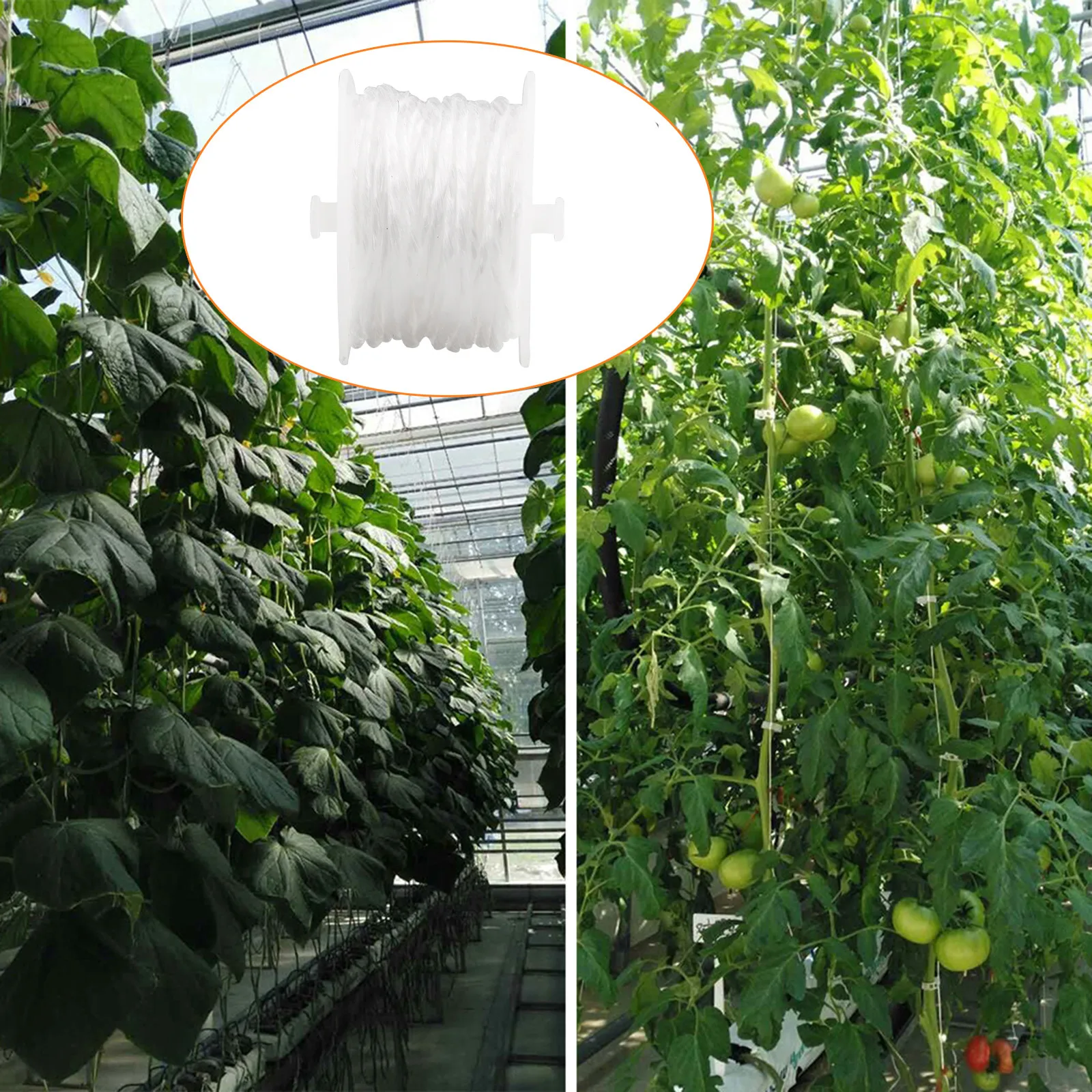 Plant Support Stick Garden Climbing Netting Twine Trellis 15M