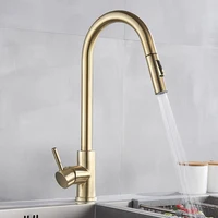 SHBSHAIMY Nickle Gold Kitchen Faucets Stainless Steel 3