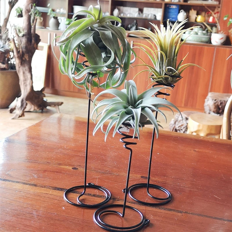 Air Plant Holder 3 Sizes Air Plants Container Iron Flower Stand Tillandsia Holder for Displaying Home Office Desktop Decoration pink plant pot