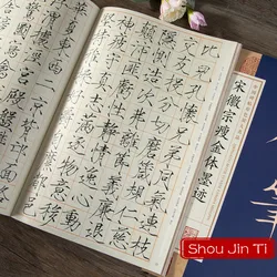 Livre de calligraphie chinoise Shou Jin Ti, stylo à brosse, cahier de copie débutant, écriture régulière, mille caractères, cahier souple 