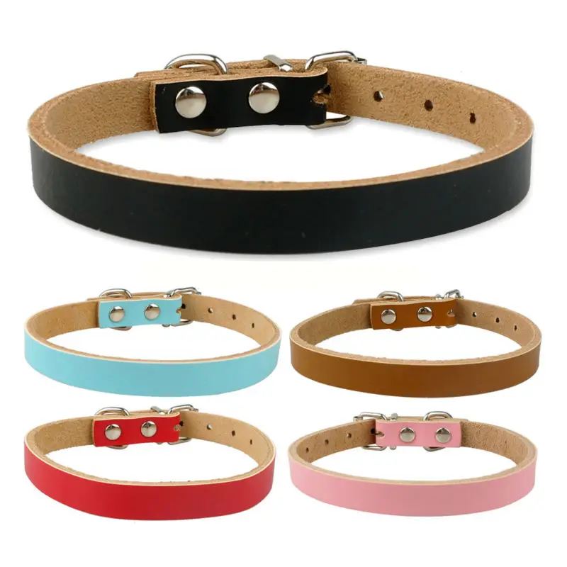 bulk puppy collars