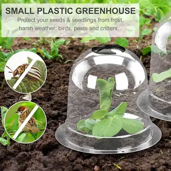 

Transparent Garden Cloche Dome Plant Bell Protector Cover With Securing Nails For Small Vegetables Fruits Flower Seedlings