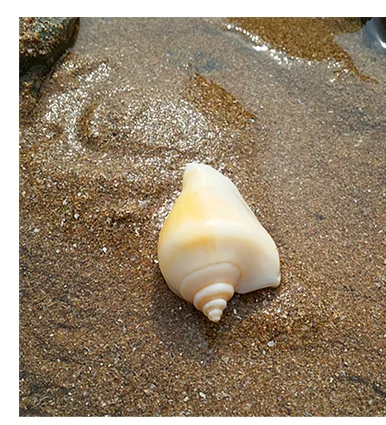 6MI`KXV`8T79K_XGS4U~UAS