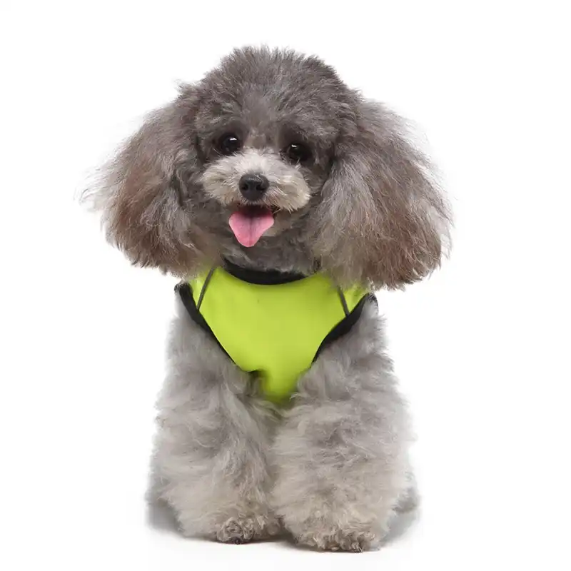 safety vest for small dogs