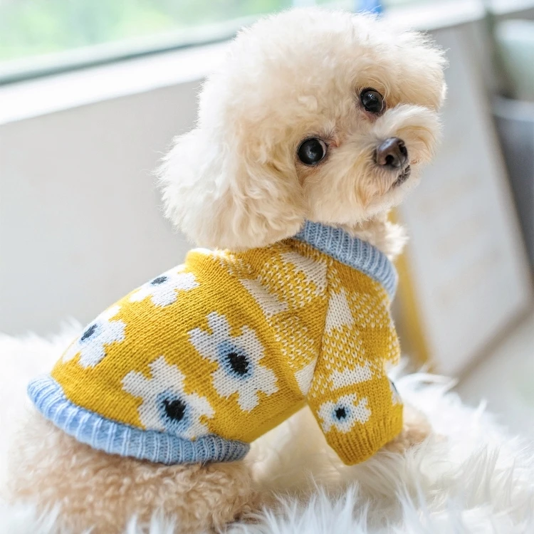 knitted dog sweater