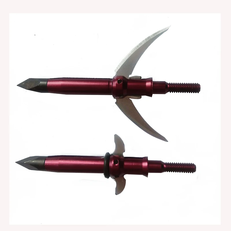 2537641523_1148519445 副本