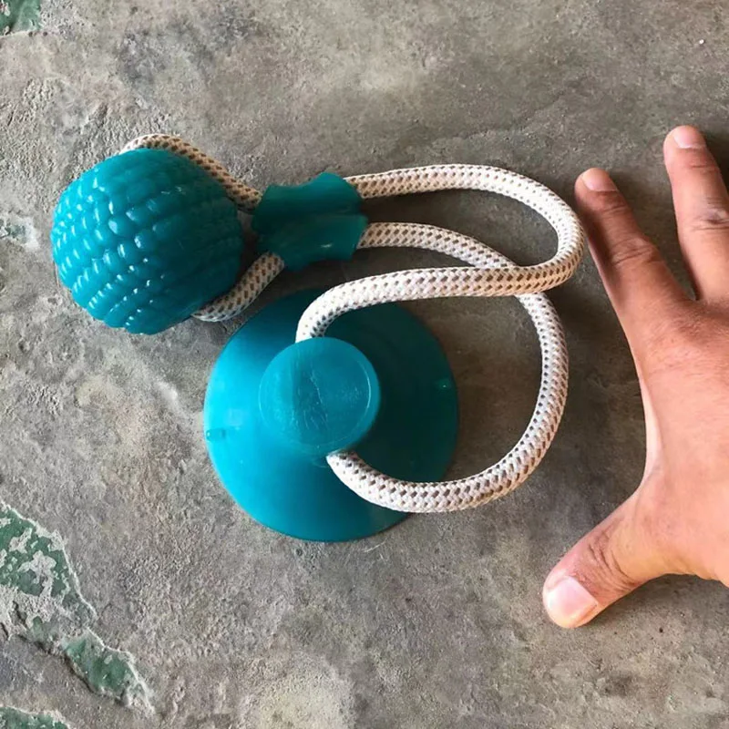 dog toy