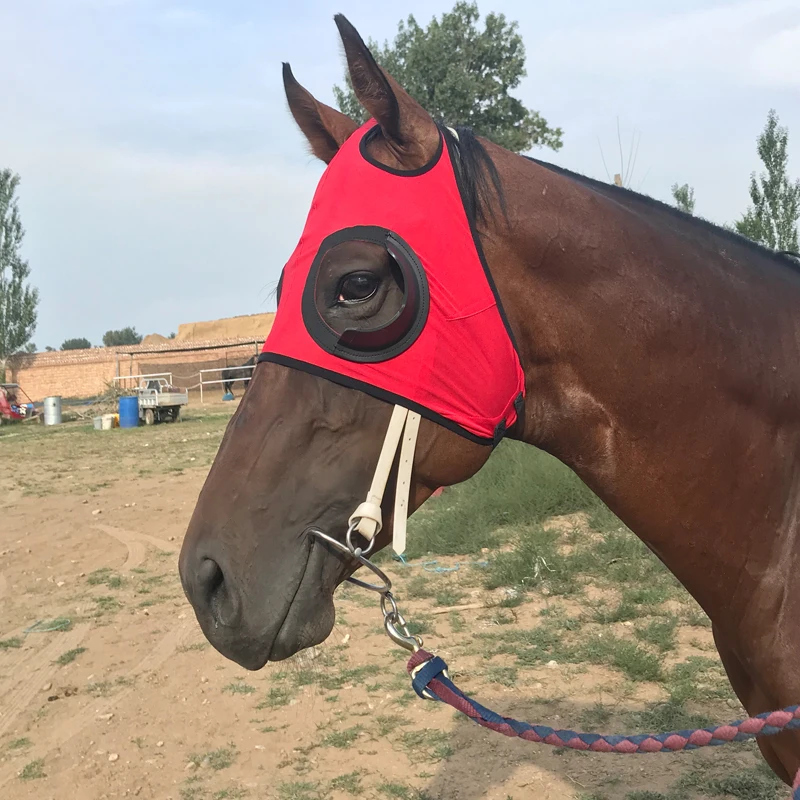 Horse Cover Harness Supplies R Mask Racing Mesh Anti Set Uv Aliexpress