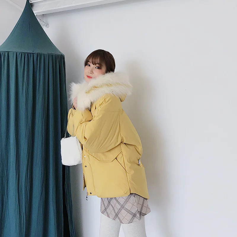 

Photo Shoot 2019 New Style Autumn & Winter Down Jacket Women's Korean-style Short Loose-Fit Students BF Cotton-padded Clothes do