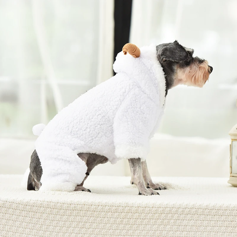 11894639258_906868034