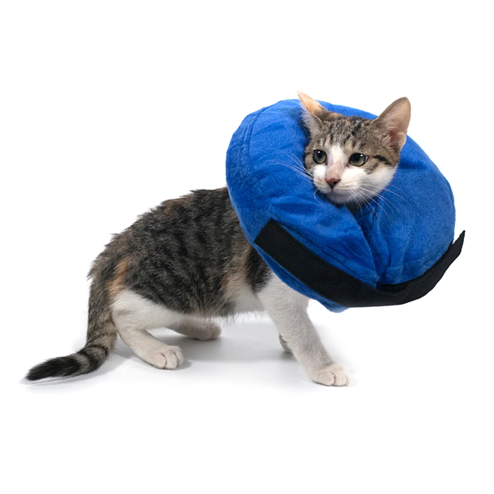 inflatable cat cone