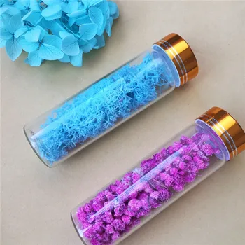 

10PCS 50ML Storage Glass Bottles with Gold Lips Centerpiece Gloss Undefined Glass Jars and Lids Clear Frascos De Vidrio