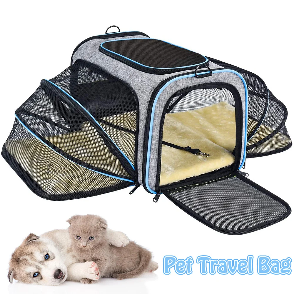 Airline Approved Large Soft-Sided Collapsible Pet Travel Carrier