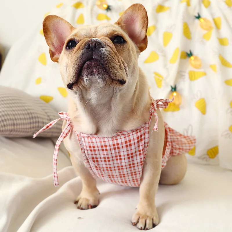 格纹小裙子-法斗款28