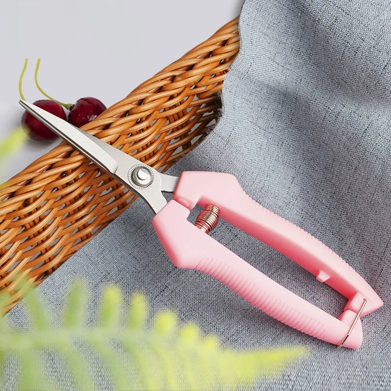 1/2pcs Portable Garden Stainless Pruning Shears Fruit Picking Scissors  Household Potted Trim Branches Small Gardening Tools - AliExpress
