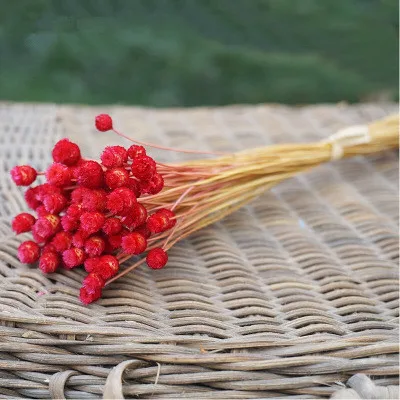 Red 40 см счастливый цветок естественное искусство сушеные цветы вечный цветок букет домашнее украшение отель вечерние украшения фото реквизит - Color: Red