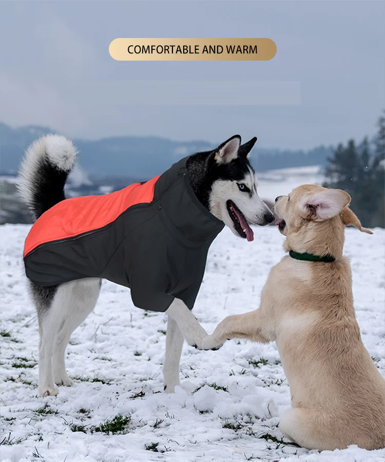 O1CN01G4tU8o1Qkud3A38yr_!!2340322015