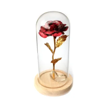 

Romantic eternal rose flower glass cover beauty and the beast LED battery light birthday Valentine's Day mother gift decoration5