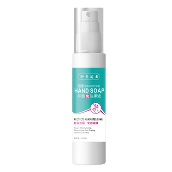 

100ml Portable Hands Disinfectant Spray Wash-free Hand Sanitizer Home Travel Effective Sterilization Hands Disinfection Spray