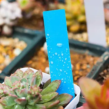 

100pcs Nursery Easy Clean Reusable PVC Garden Markers Seedling Waterproof Home Office Plant Labels Solid Hanging Tags Greenhouse
