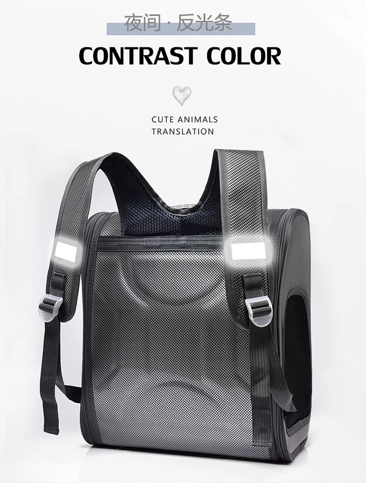 12093124813_686886075