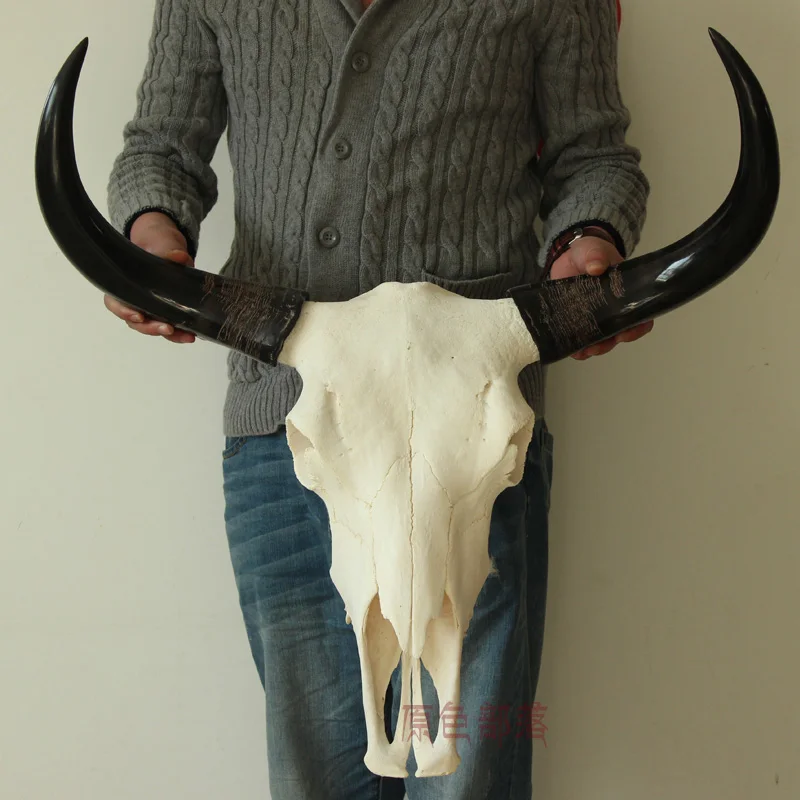 Голова художественного ремесла прямые продажи натуральный ручной работы тибетский Як корова череп действительно полированный Рог череп орнамент
