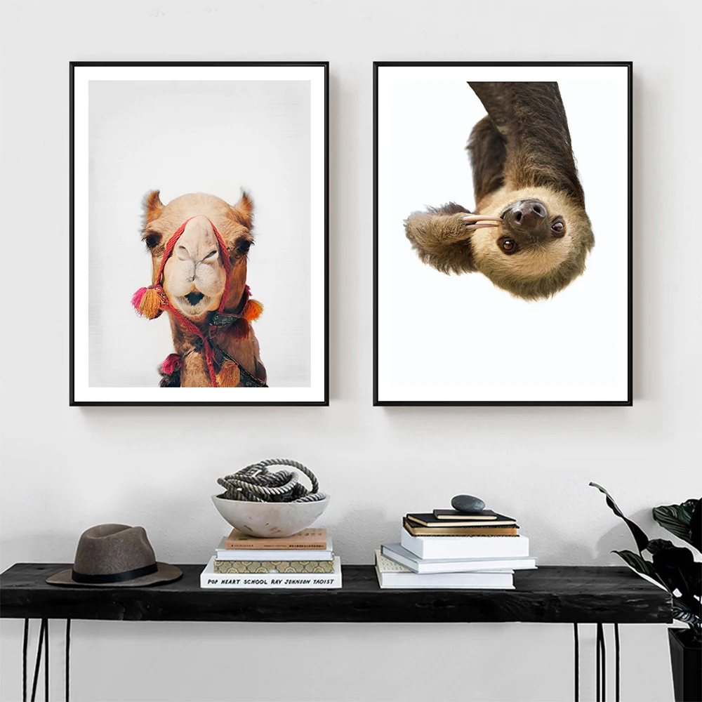 Home-Decor-Canvas-Painting-Animal-Wall-Art-Camel-Sloth-Posters-and-Prints-Wall-Pictures-for-Living