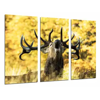 

Deer Animal in nature, Bellowing, Life Wild, photo print on wood, modern picture decorative 26774