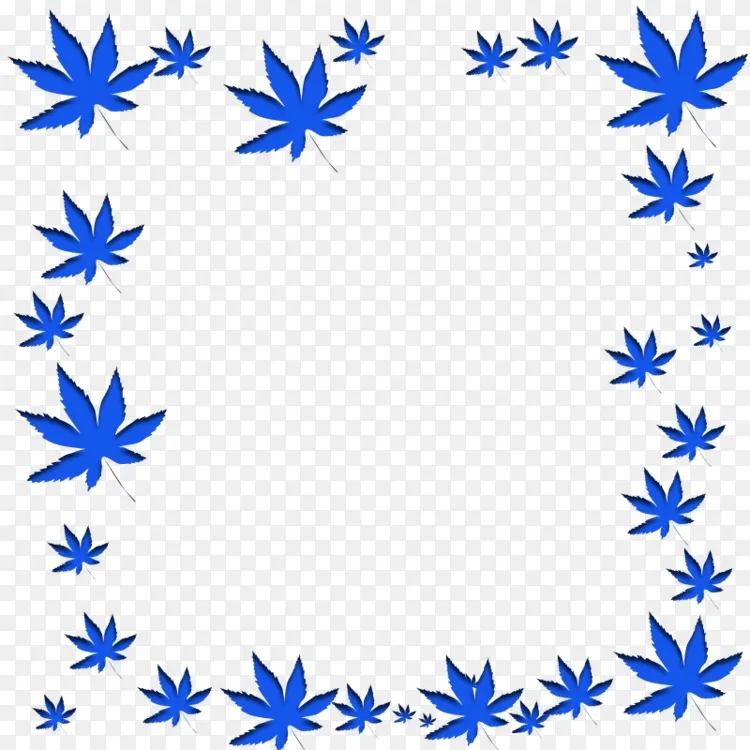 7月23日电子邮件 叶png图片素材免费下载 图片编号 Png素材网