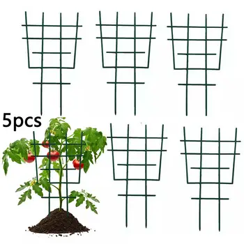 

Plant Support Cages,Supporter Climbing Plants, Vine Plants Holder Stand Small Pot Plant for Home Garden Balcony