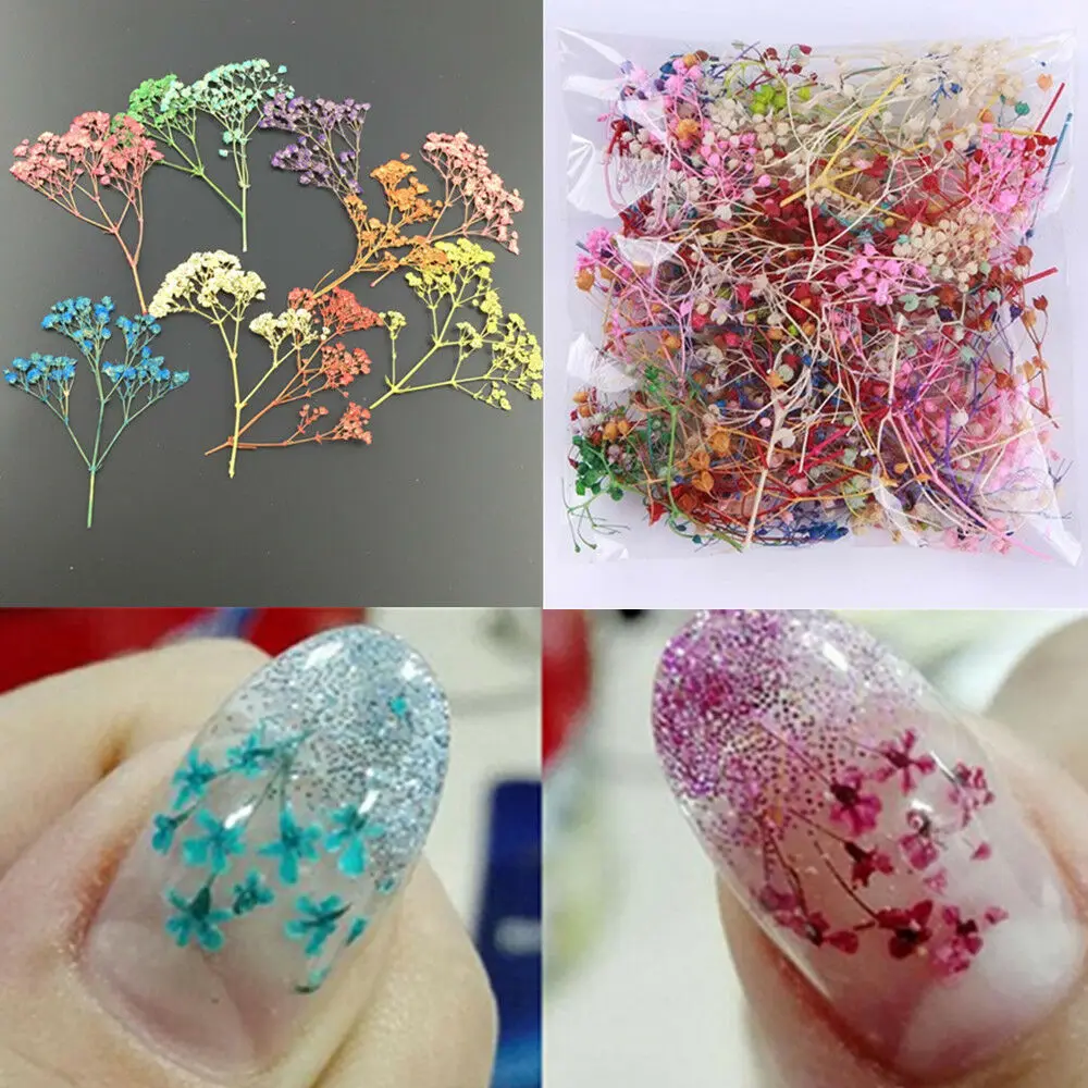 Beautiful 10Pcs/Bag Dried Flower 10 COLORS Cornflower Pretty Preserved Flower 3D DIY Manicure Nail Art Decoration