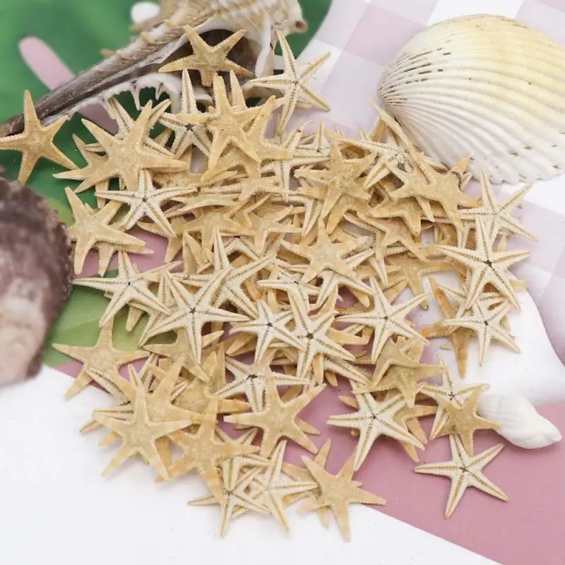 Natural Shell Ornaments 5/25/50pcs Mini Starfish Shell Craft Decoration Sea Stars DIY Beach Cottage Wedding Decor sea shells party sea conch