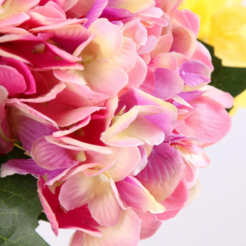 9081421053_1657560901