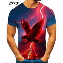

Cool Short-sleeve Fire Phoenix Printed T-shirt Men/women 3d Short Sleeve T-shirt