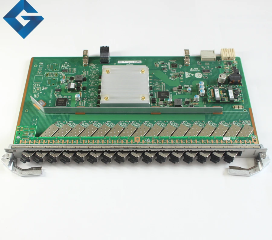 GPHF (5)